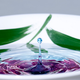Illustration for article titled Shooting Challenge: Water Drop Gallery Part 2